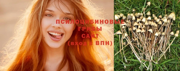 мескалин Баксан